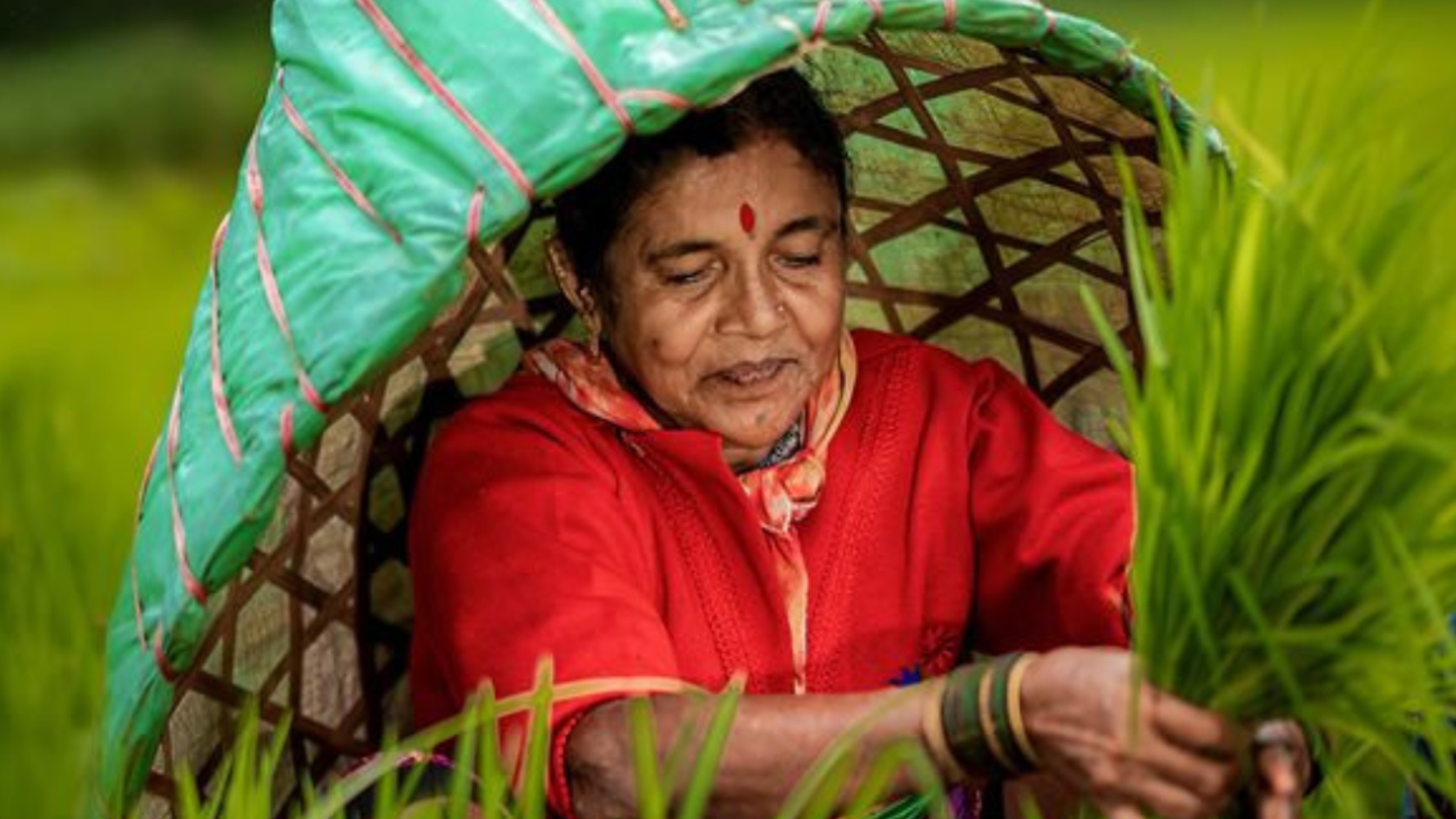 Village woman weaving a bamboo basket by hand in the fields