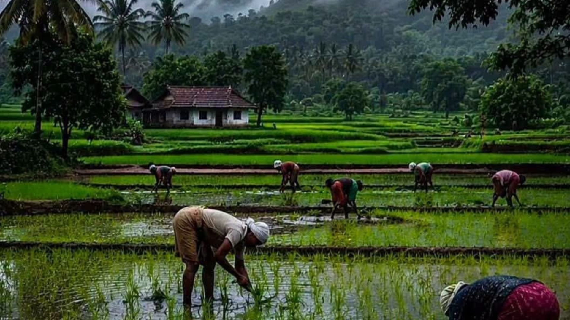 Authentic rural life and farming in a Kokan village