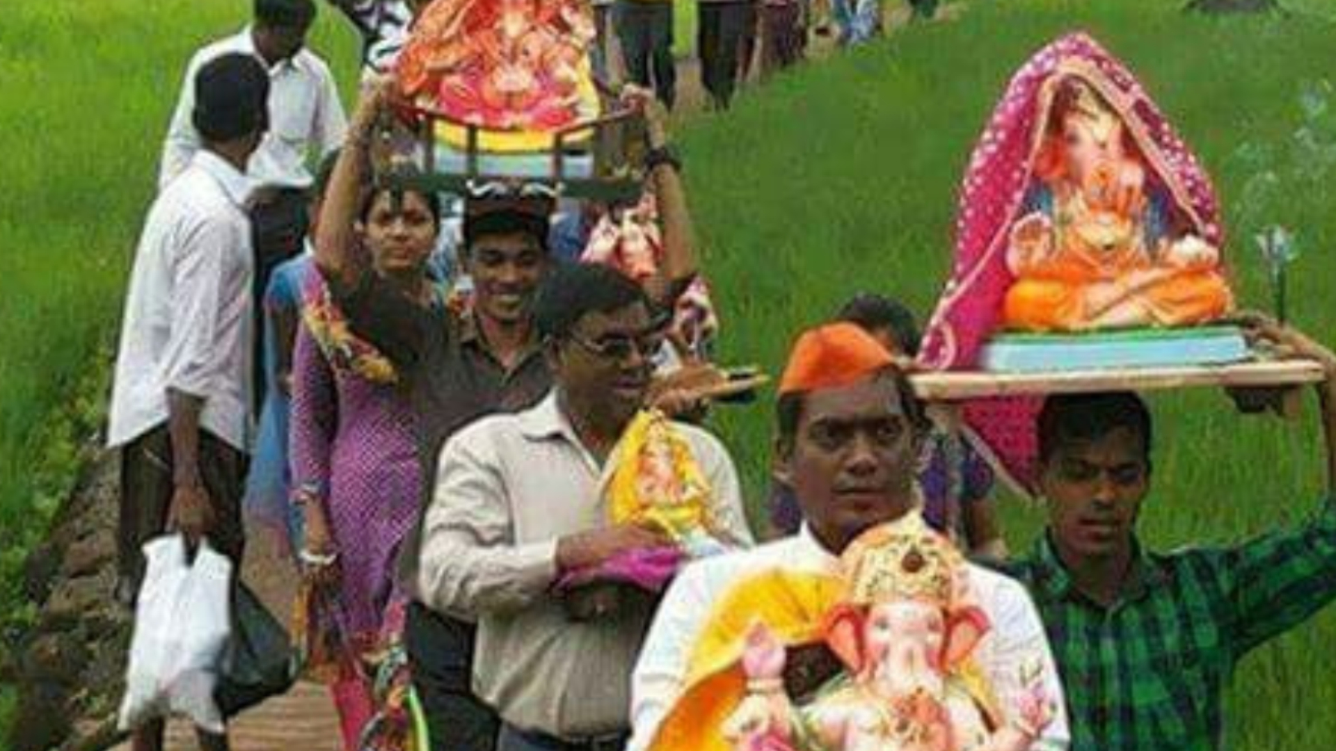 Ganpati idol carried in procession across green paddy fields