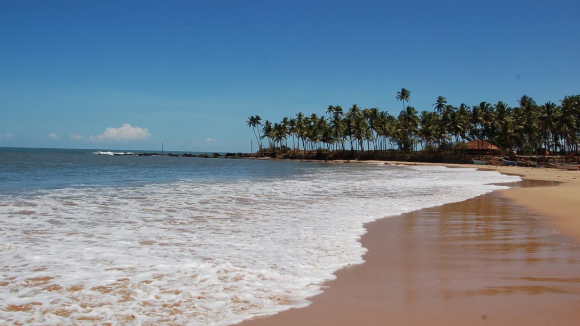 Palm-lined white sand beach with clear shallow waves