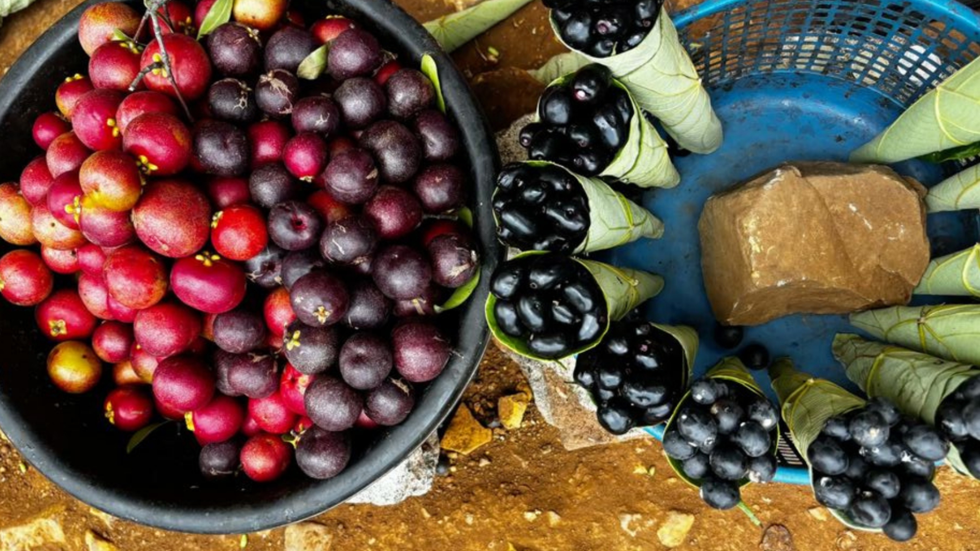 Wild karvanda and jambhul berries beside blocks of palm jaggery